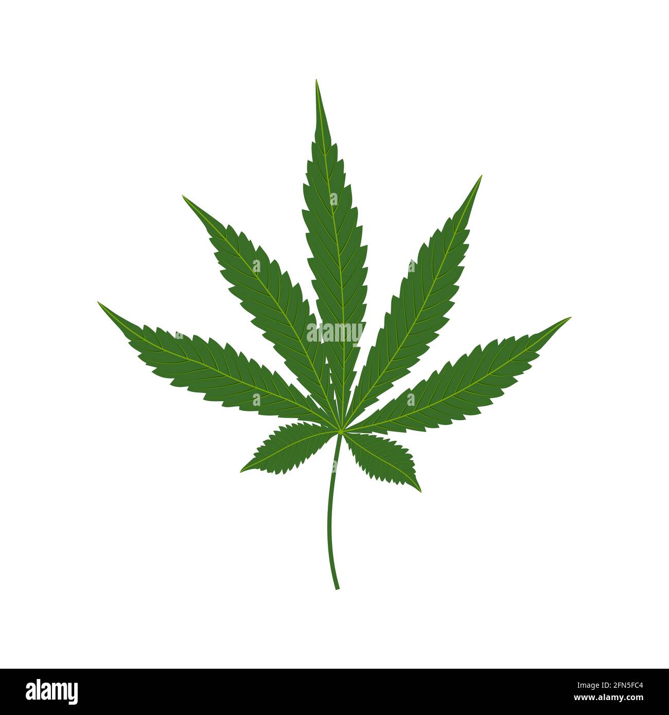 Cannabis o hoja verde de marihuana medicinal aislada sobre fondo blanco. Planta herbaria de la hierba de la medicina, cáñamo natural de la maleza. Ilustración vectorial. Ilustración del Vector