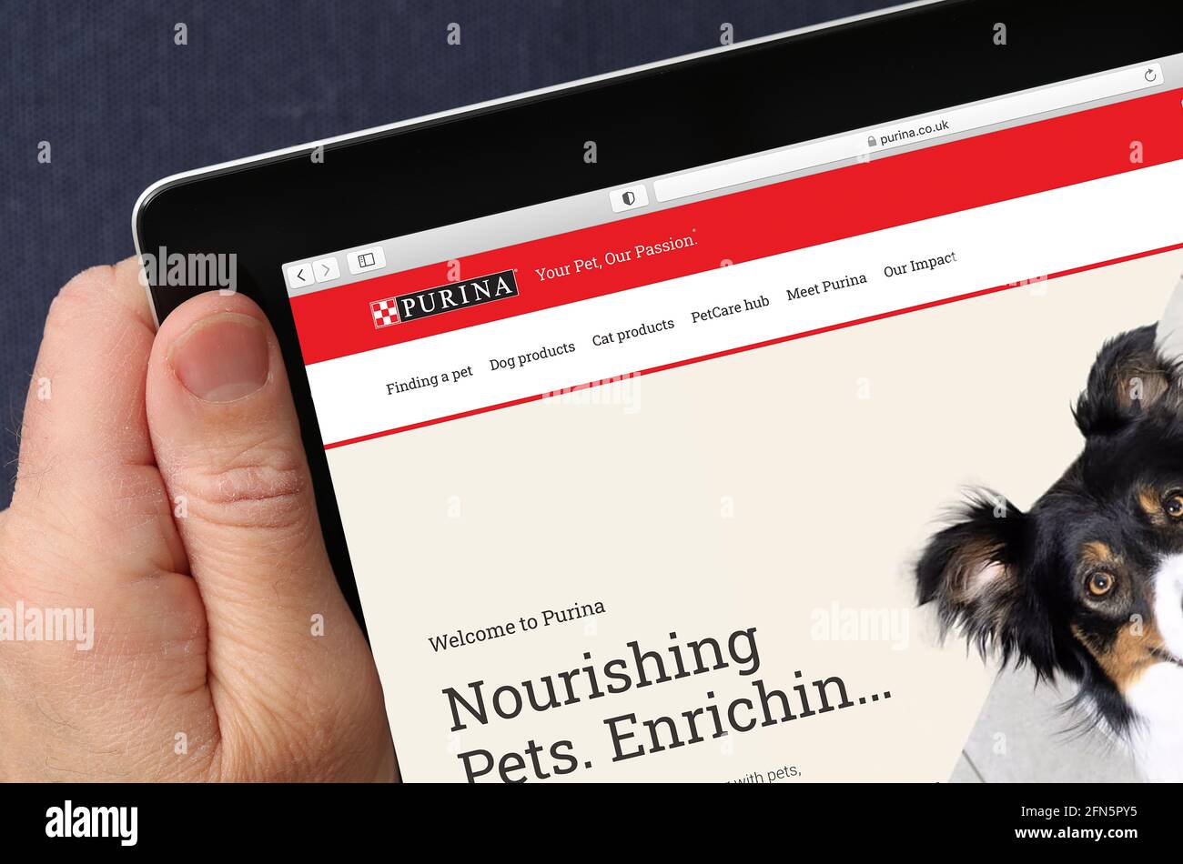 Sitio web de Purina visto en un iPad. (sólo para uso editorial) Foto de stock