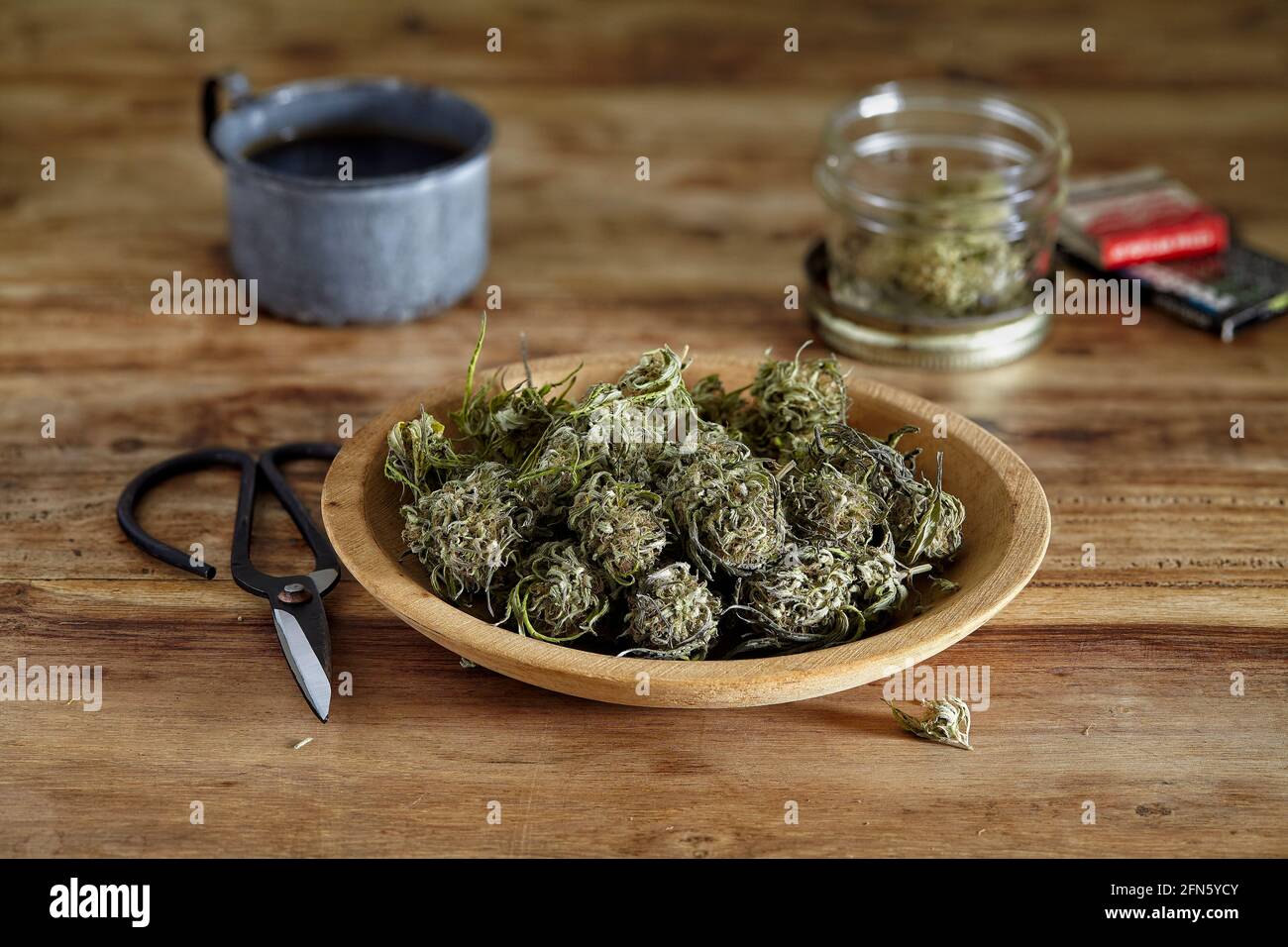 una vida de cannabis sin recortar con aspecto vintage en un recipiente con tijeras Foto de stock