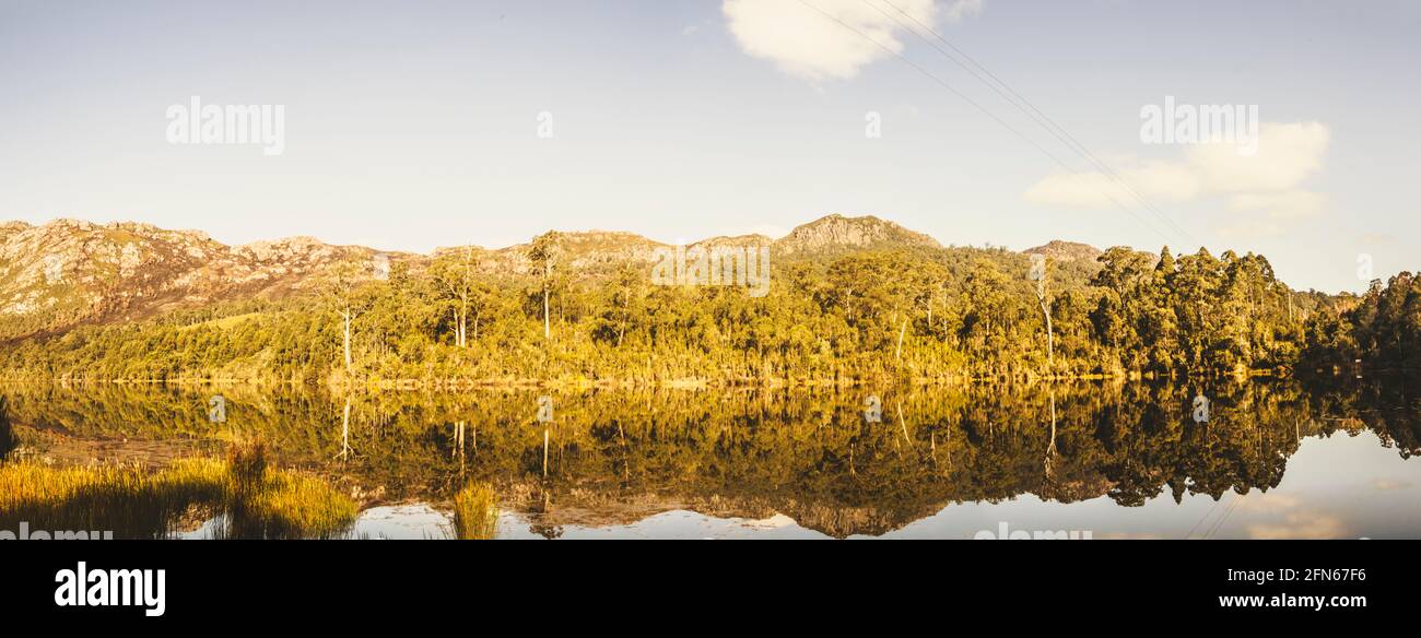 Panorámica de gran angular treescape en un lago en armonía reflectante de la tarde. Tullah, Tasmania occidental, Australia Foto de stock