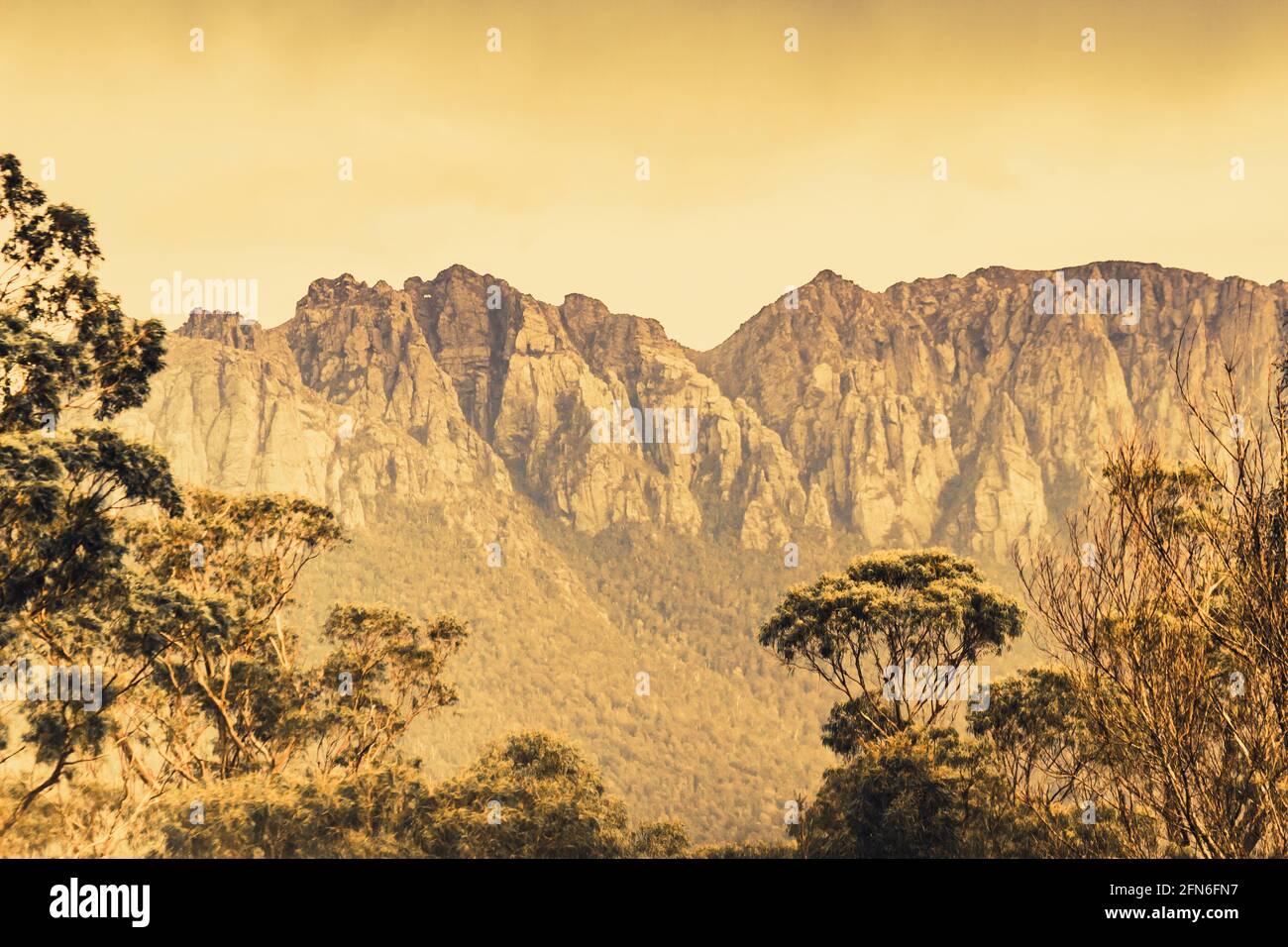 Paisaje de campo vintage de una cordillera dura pero impresionante capturada de una abertura del bosque. Monte Read, Costa Salvaje Oeste de Tasmania Foto de stock