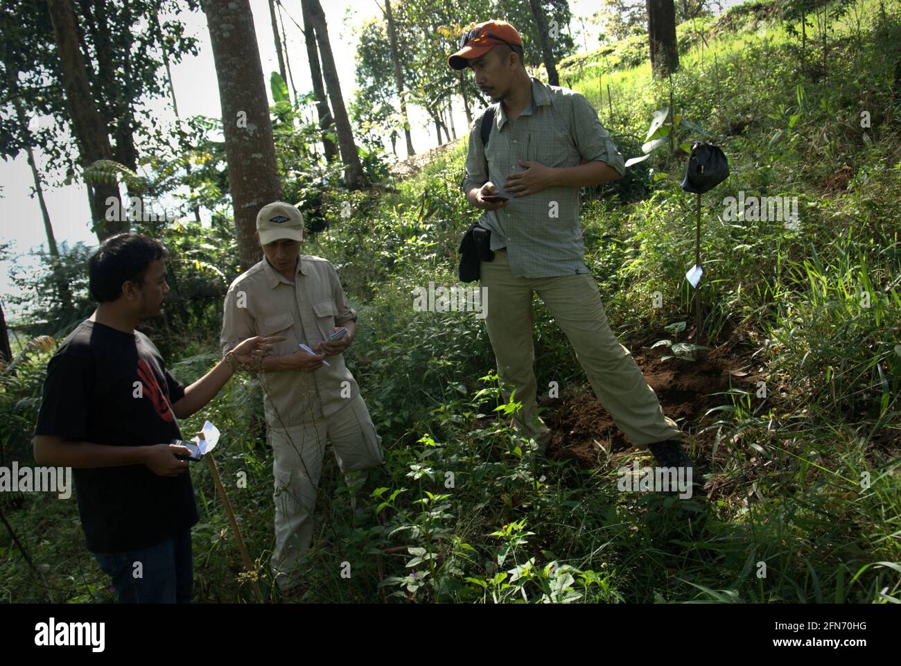 Los trabajadores del proyecto y un adoptante discuten notas sobre los árboles plantados recientemente por los adoptantes durante un programa de adopción de árboles en 2013, una parte del proyecto de reforestación en el Parque Nacional Mount Gede Pangrango, Java Occidental, Indonesia. Foto de stock