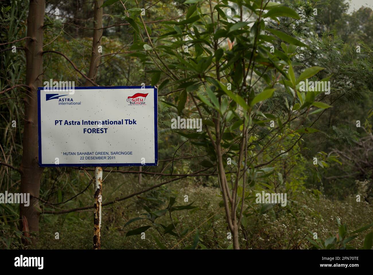 Una señalización para marcar un área asignada a plantar árboles adoptada por una corporación en un programa de adopción de árboles pocos años antes, parte del proyecto de reforestación dentro del Parque Nacional Mount Gede Pangrango, Java Occidental, Indonesia; fotografiado durante el Festival Sarongge 2015. Foto de stock
