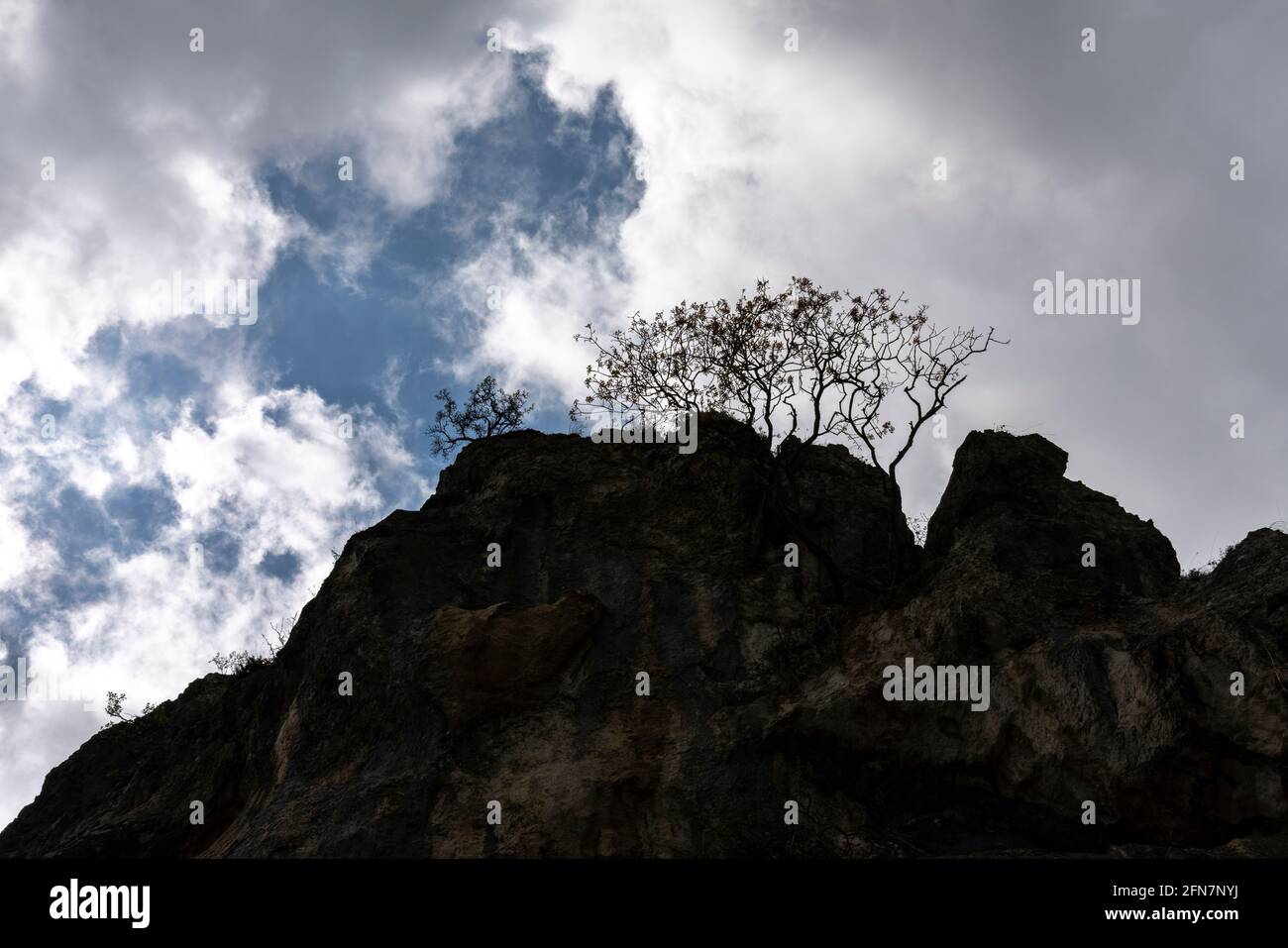 Paredes rocosas empinadas con árboles retroiluminados sobre un cielo nublado. Cloudscape. Abruzzo, Italia, Europa Foto de stock