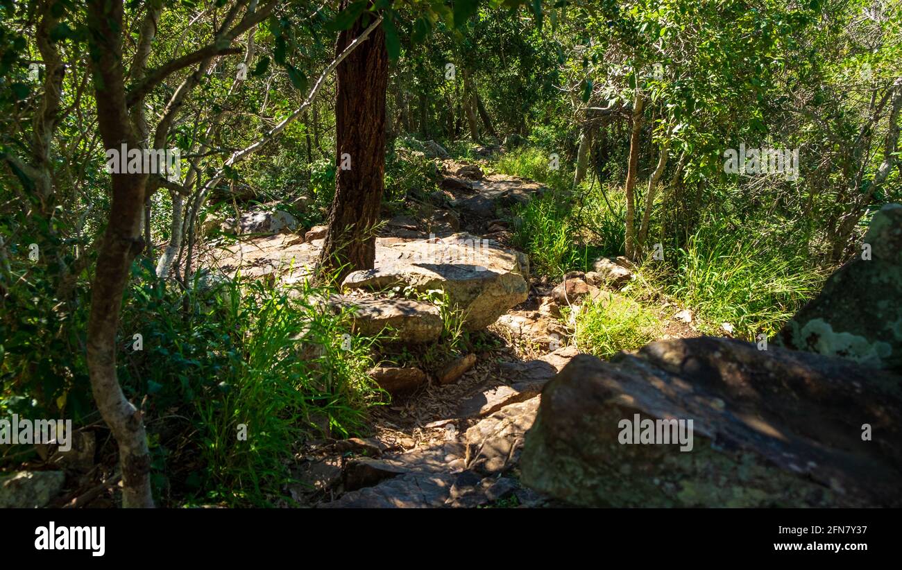 Los senderos rocosos de Flinder's Peak Foto de stock