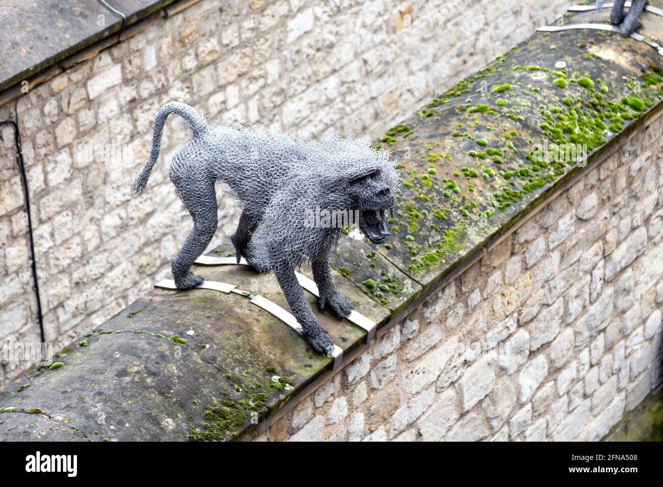 Escultura de mono babuino de malla metálica del artista Kendra Haste en la Torre de Londres, Londres, Reino Unido Foto de stock