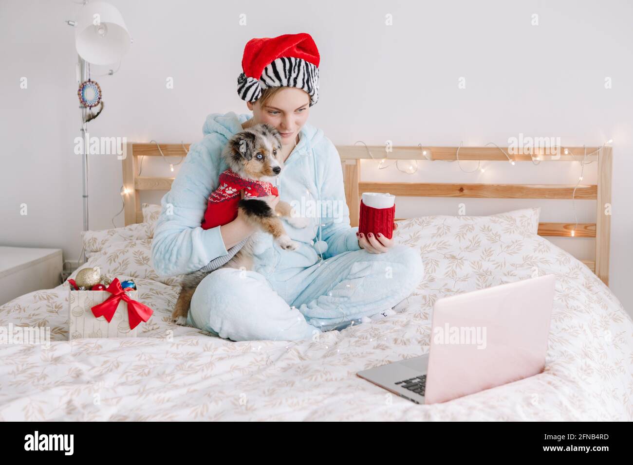 Mujer joven en el sombrero de Santa sostener lindo perro cachorro y llamar a amigos familia en el chat de vídeo. Dueño de mascotas celebrando solo las vacaciones de Navidad. Holi remoto distante Foto de stock