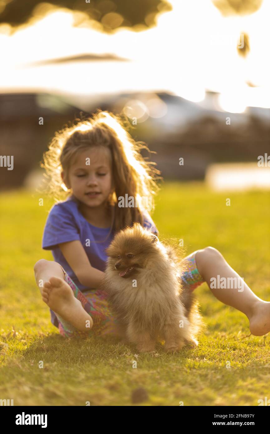 Niña sosteniendo cachorros. Niño con perro de mascota. Familia y mascotas en el césped del parque. Amistad de niños y animales Foto de stock