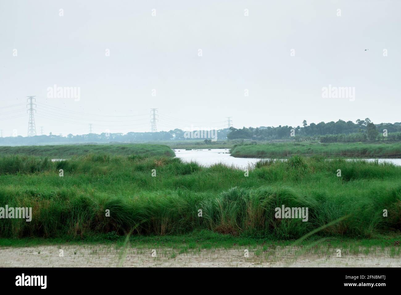 Vista del paisaje de hierbas verdes al lado del río bajo el cielo nublado antes de la lluvia Foto de stock
