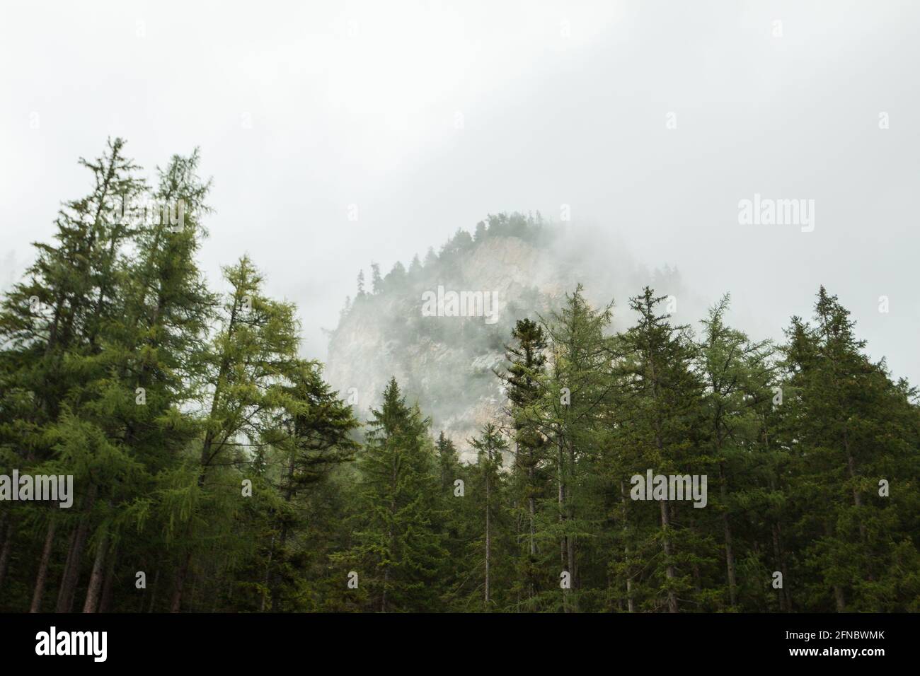 Misty montañas en otoño en Austria Foto de stock