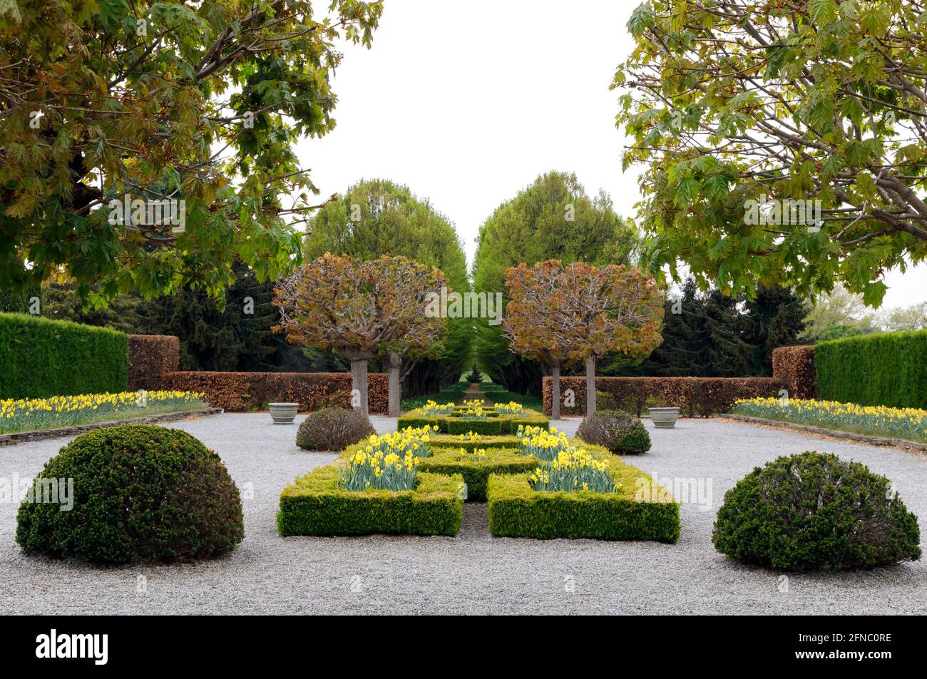 Canadá, Ontario, Cataratas del Niágara, Escuela de Horticultura. Jardín Mediterráneo Parterre, plantado con narcisos en la primavera. Foto de stock