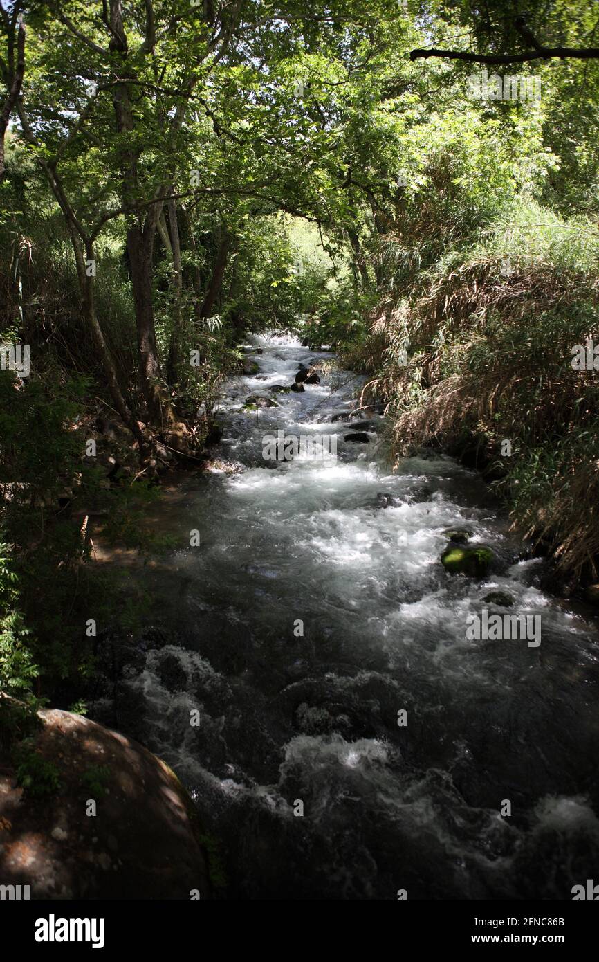 Fuentes Del Río Jordán Fotos e Imágenes de stock - Alamy