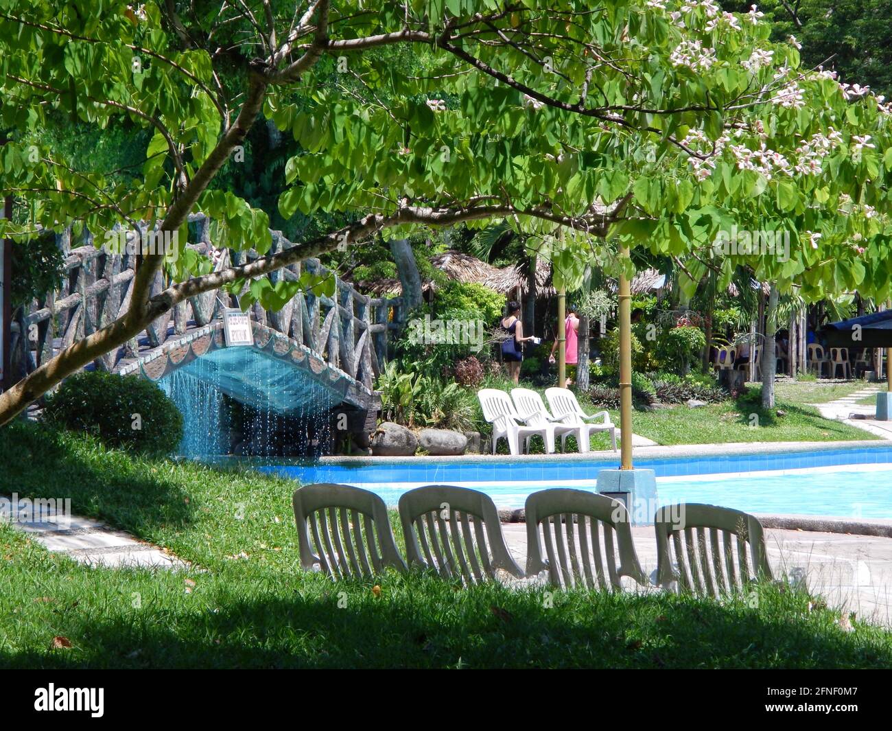 Cuatro sillas blancas de jardín a la sombra bajo un árbol florido, frente a una piscina en el Water Garden, Bacolod, Filipinas Foto de stock