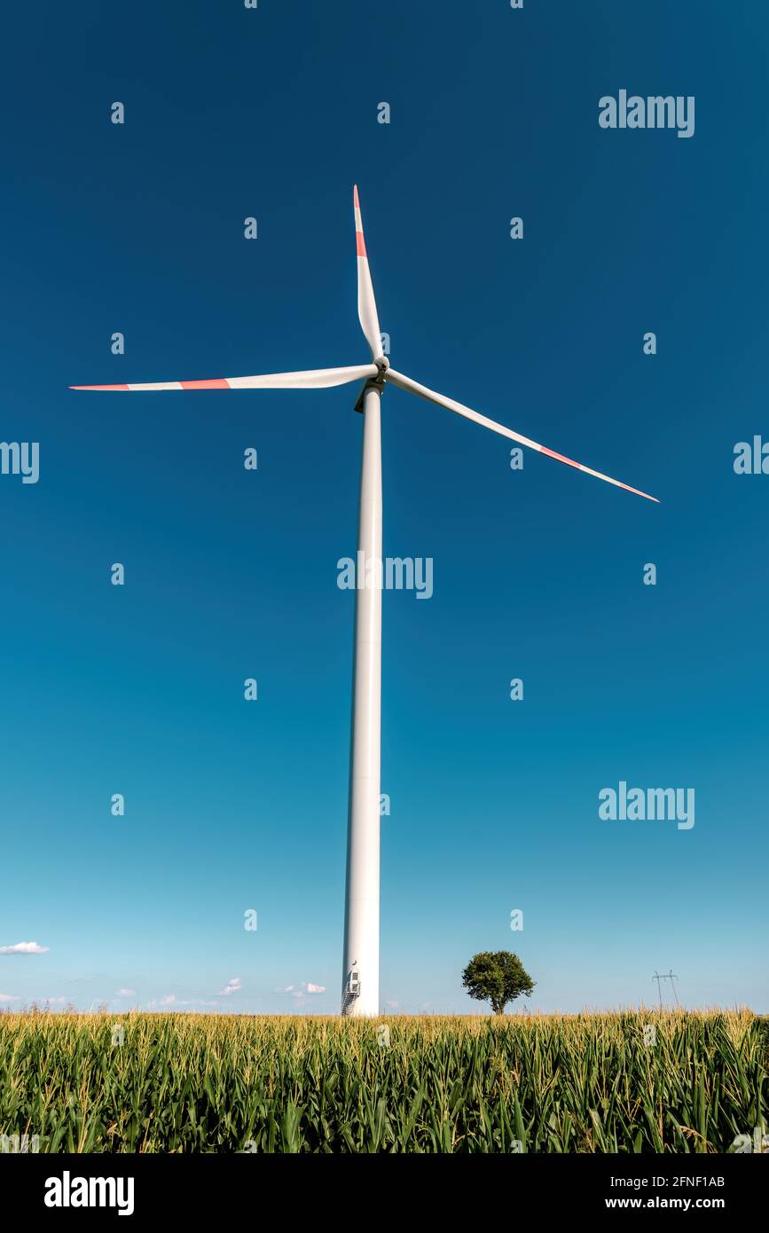 Grande con turbina y pequeño árbol en el campo, energía renovable y recursos sostenibles Foto de stock