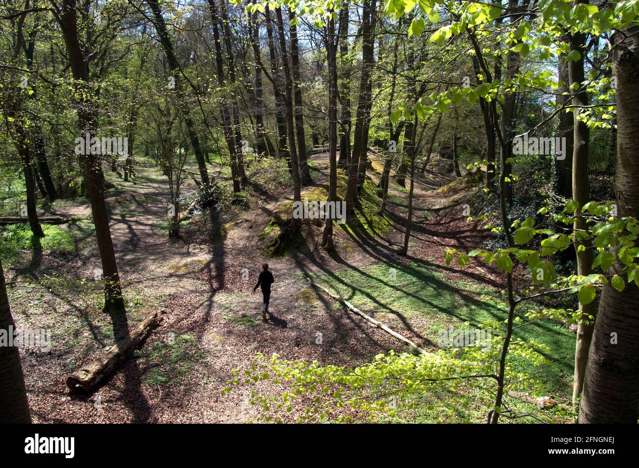 niño de 13 años corriendo en el bosque - un pequeño figura entre los árboles altos Foto de stock