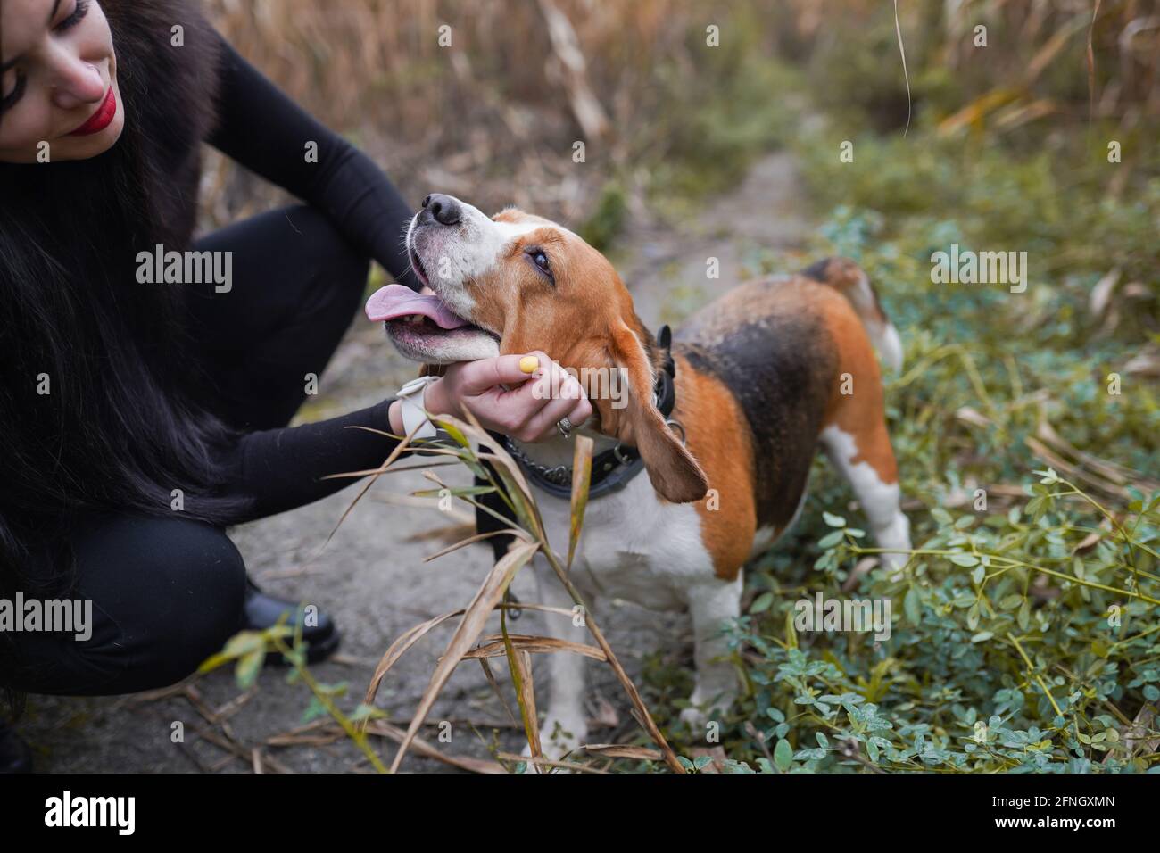 Conexión humana y animal. El concepto de confianza y amistad. Foto de stock