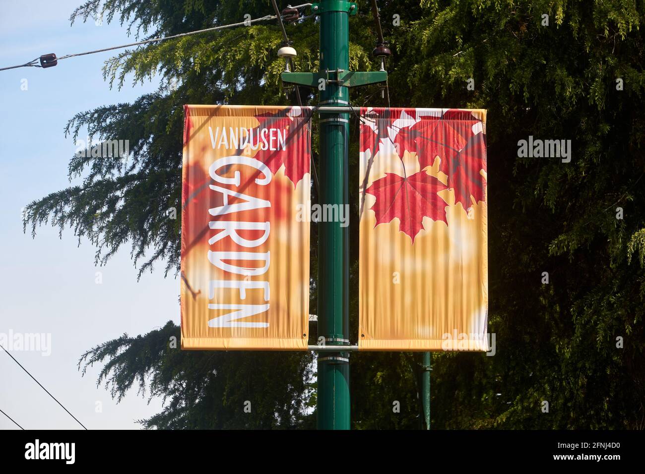 VanDusen Botanical Garden banners en un poste de lámpara en Vancouver, BC, Canadá Foto de stock