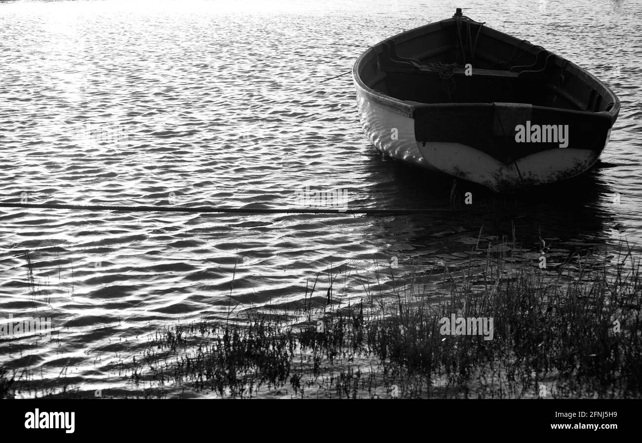 Imagen en blanco y negro de un solo bote de remo en reposo y. vacío atrapado en la luz del sol de la tarde bajo rodeado de agua ondulada y cañas Foto de stock