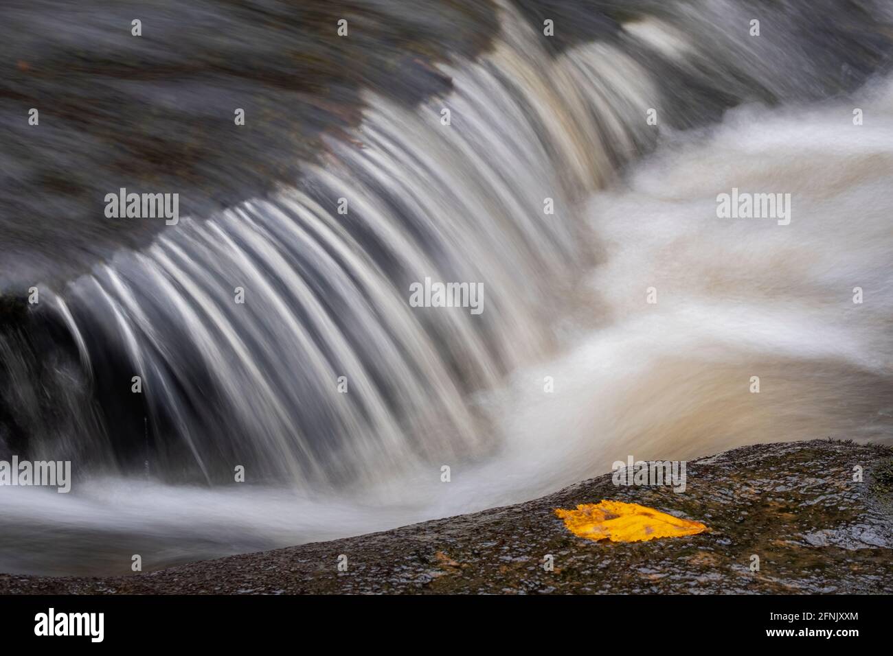 Un pequeño resumen de la cascada en los moros de North York Foto de stock