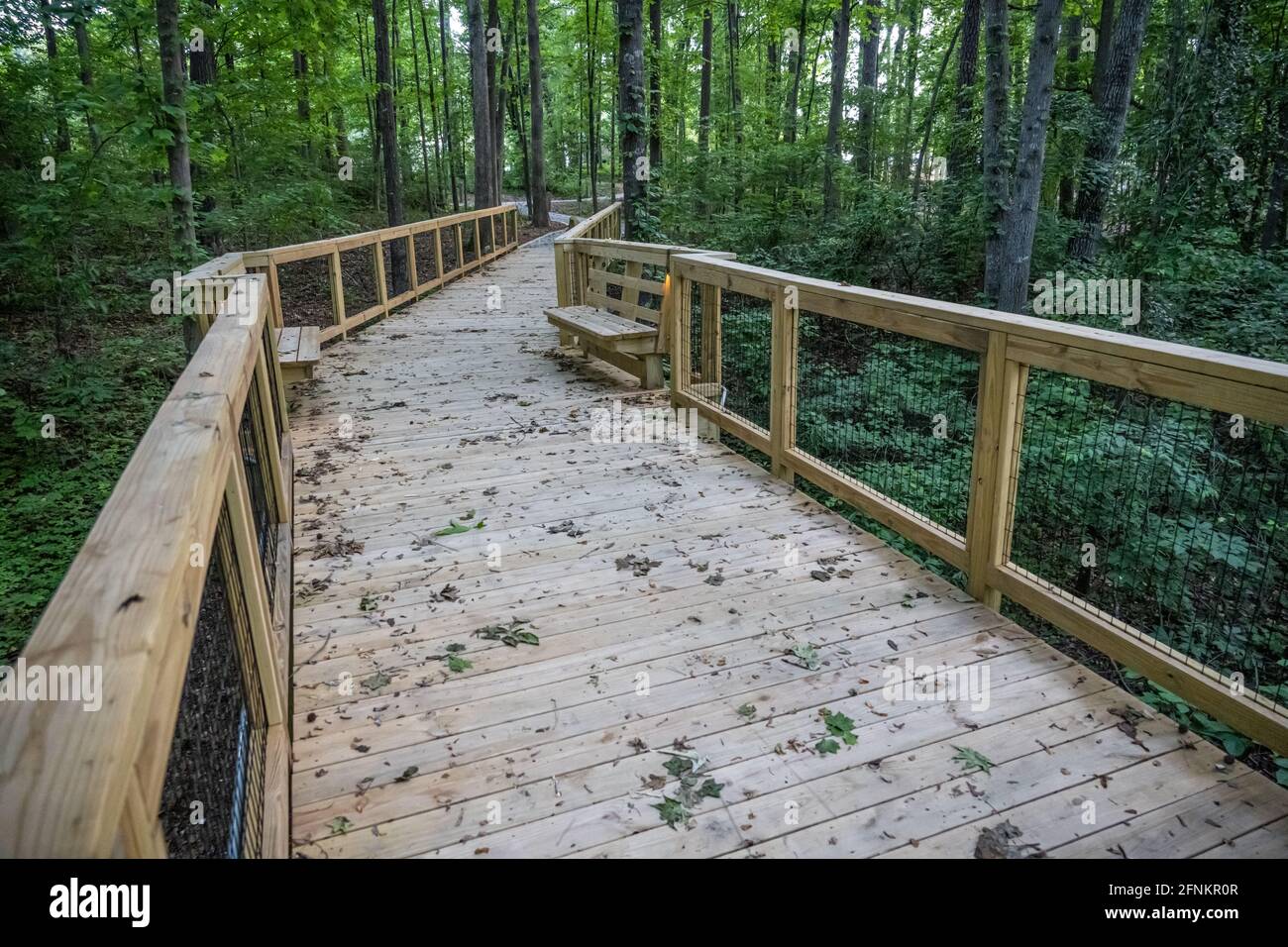 Puente peatonal de madera a lo largo de una ruta de senderismo en Stone Mountain Campground en Stone Mountain Park cerca de Atlanta, Georgia. (EE. UU.) Foto de stock