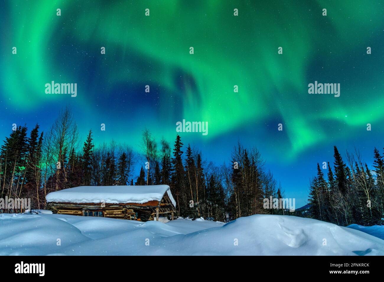 Las luces del norte (aurora borealis) en Wiseman village por encima del Círculo Polar Ártico fuera de la Dalton Highway, Alaska. Foto de stock