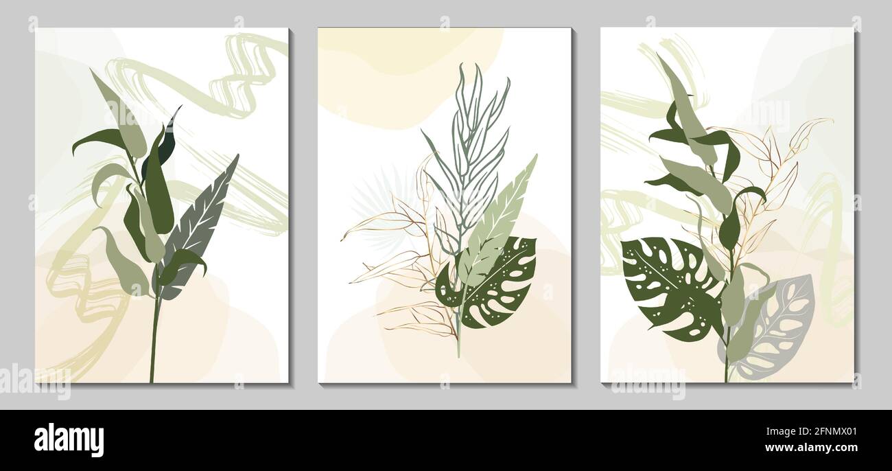 Un conjunto de carteles vectoriales de arte de la pared botánica Diseño de  plantas para imprimir, portadas, papel pintado, postales, invitaciones, y  el arte de la pared natural Imagen Vector de stock -