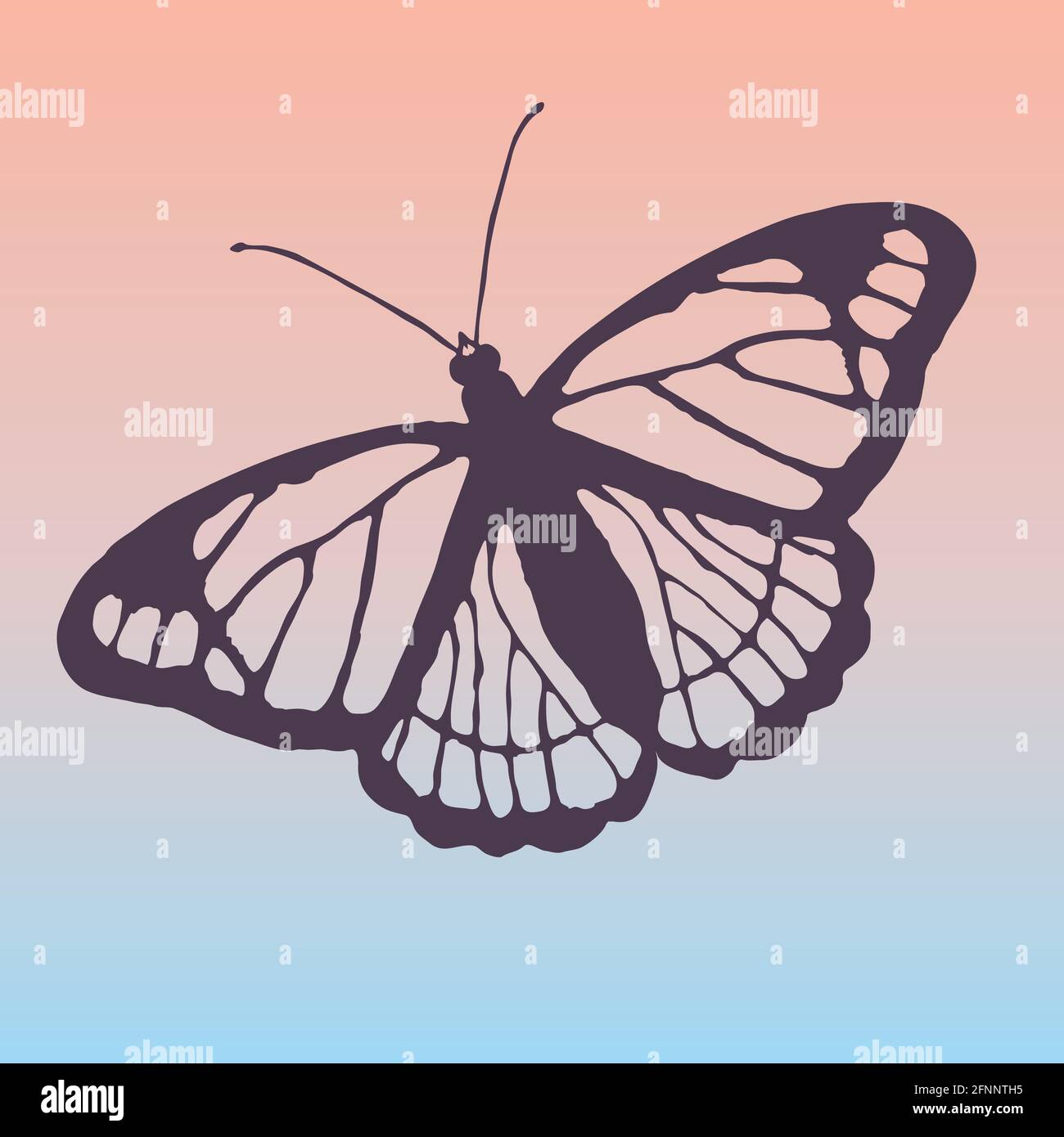 Contorno de una mariposa. Usted ve las venas en sus alas, los espacios entre ellos son transparentes. El fondo es un suave gradiente rosa y azul Ilustración del Vector