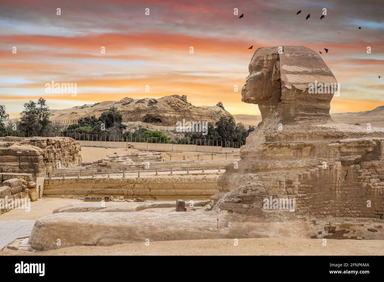 Esfinge egipcio. El Cairo. Giza. Egipto. Antecedentes de viaje. Monumento arquitectónico. Las