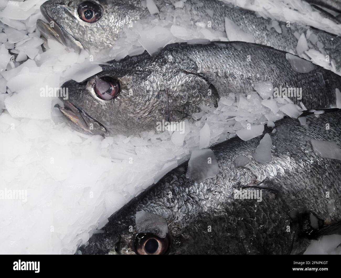 Pescado Congelado. Mercado De Pescado Fresco. Dorada Foto de archivo -  Imagen de cena, industria: 215231104