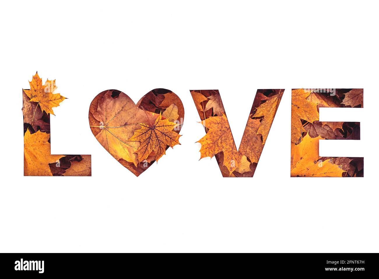 texto de amor relleno con textura de caída amarilla y naranja hojas de arce Foto de stock