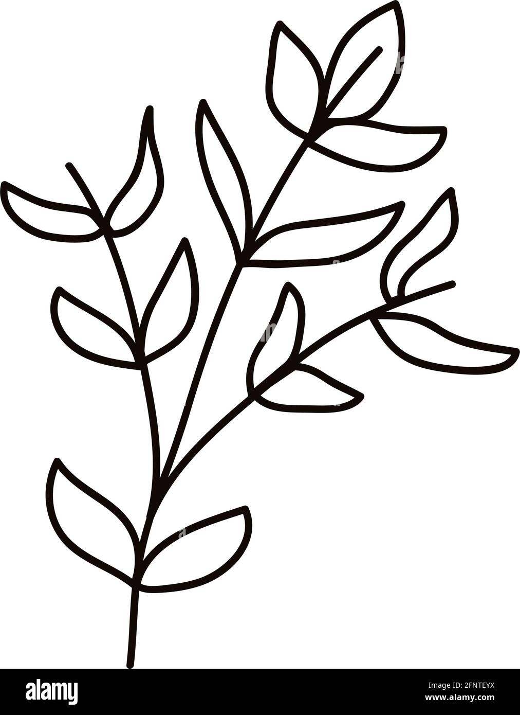 estilo de dibujo de ramas y hojas a mano Imagen Vector de stock - Alamy
