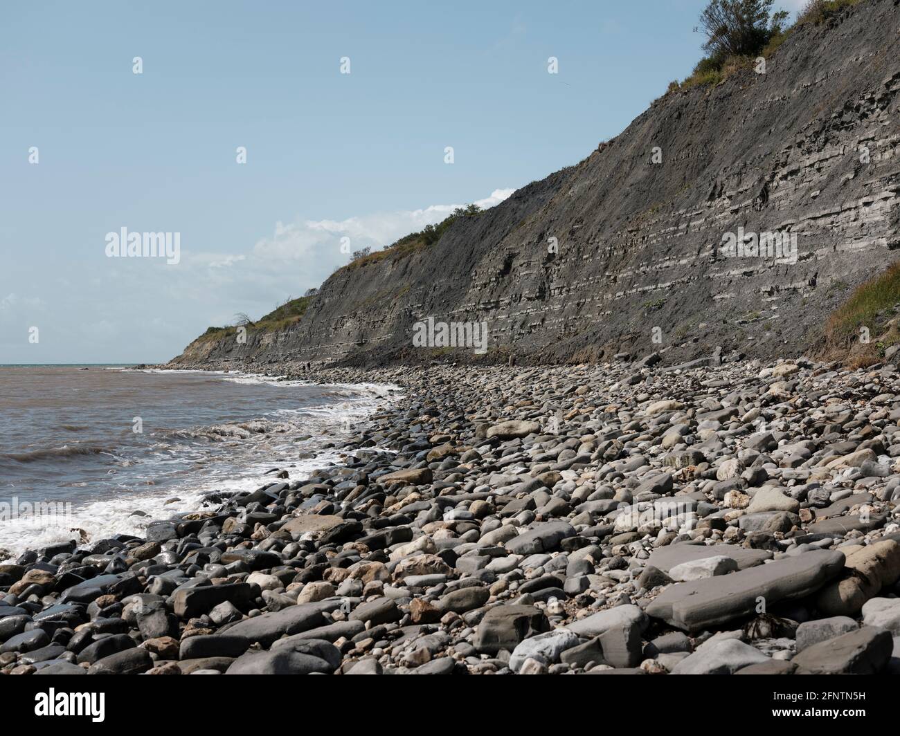 Lyme Regis Fossil Beach, famoso por su abundancia de fósiles marinos, Lyme Regis, Dorset, Reino Unido, 2019. Foto de stock