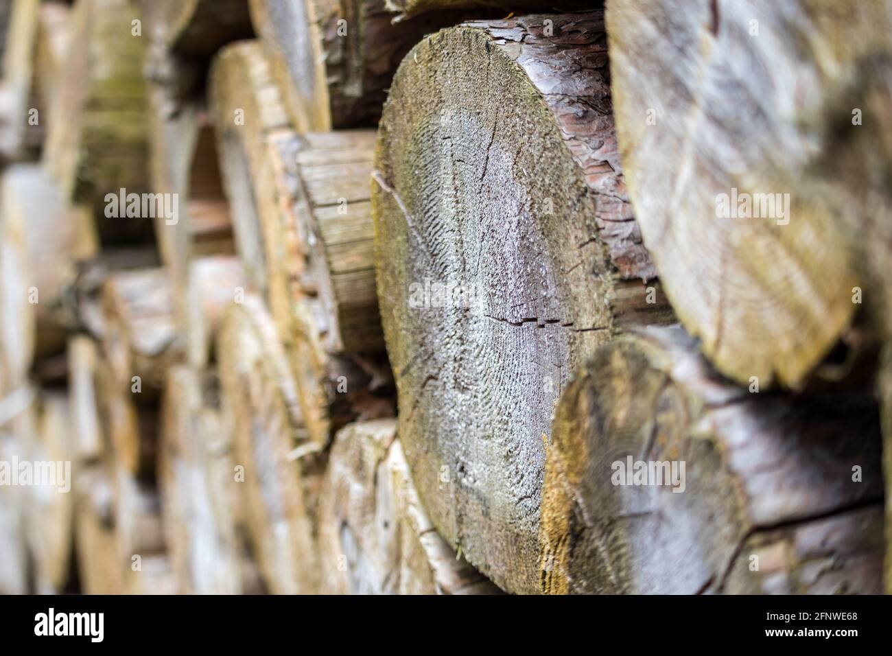 leña apilada, troncos de madera, vista de cerca Foto de stock