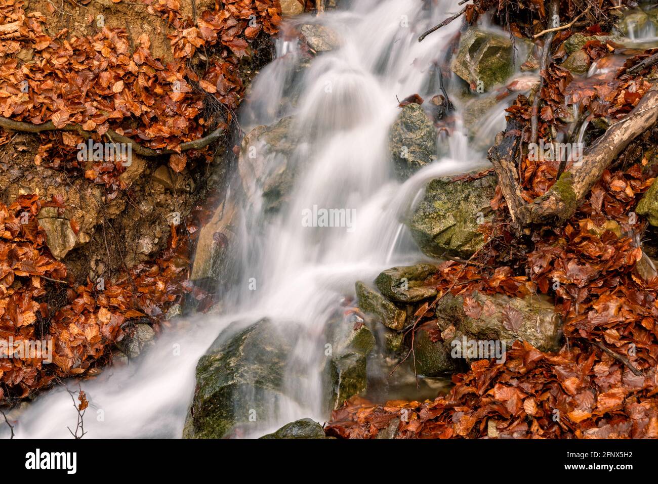 Arroyo de agua con hojas marrones caídas en el circo de Gavarnie Francia otoño en exposición larga congelado Foto de stock