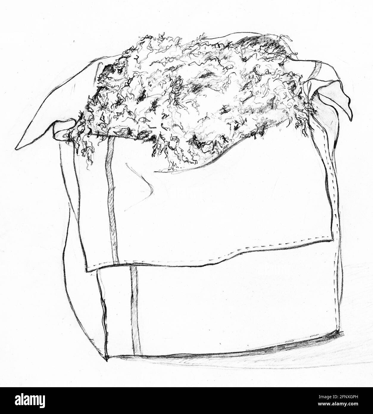 Un dibujo de una paca de lana llena de musgo esfagnum, o cualquier otro material fibroso para esa materia Foto de stock