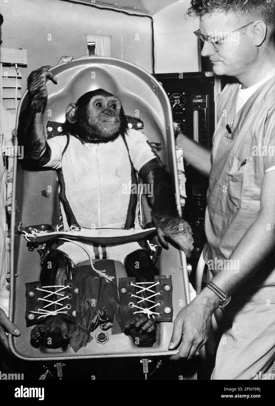 astronáutica, animal, EE.UU., 'Jamón', Mercury Redstone 2, Prueba con un chimpancé en una cápsula espacial, DERECHOS-ADICIONALES-LIQUIDACIÓN-INFO-NO-DISPONIBLE Foto de stock