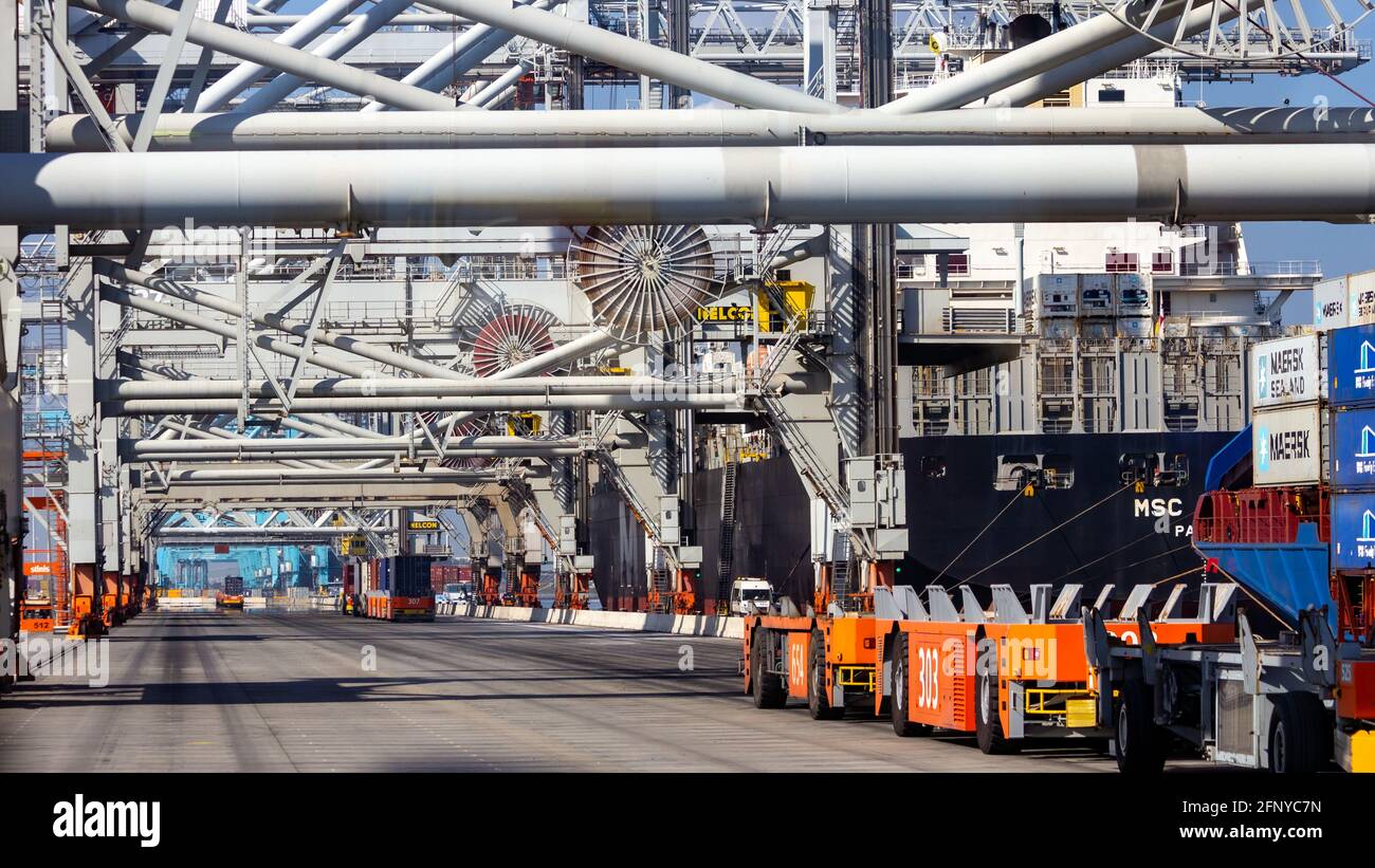 Vehículos automatizados que trasladan contenedores de transporte desde y hacia buques en el Puerto de Rotterdam, Países Bajos, 8 de septiembre de 2012. Foto de stock