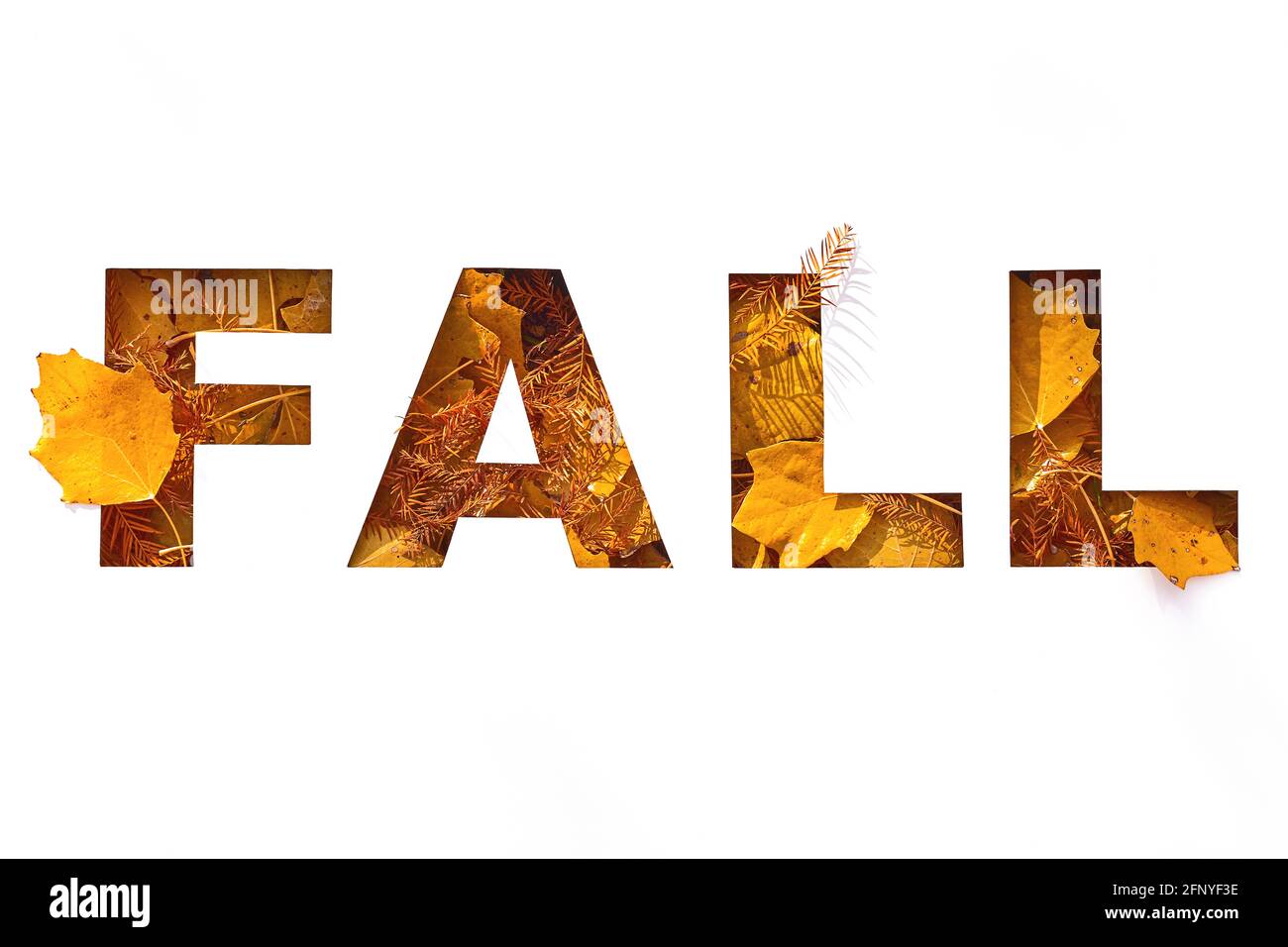 Papel cortado caída texto relleno con textura de amarillo y. naranja otoño hojas Foto de stock