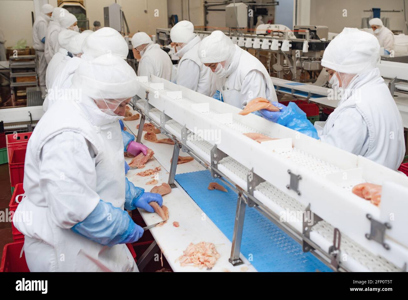 Línea de producción automatizada en la moderna fábrica de alimentos