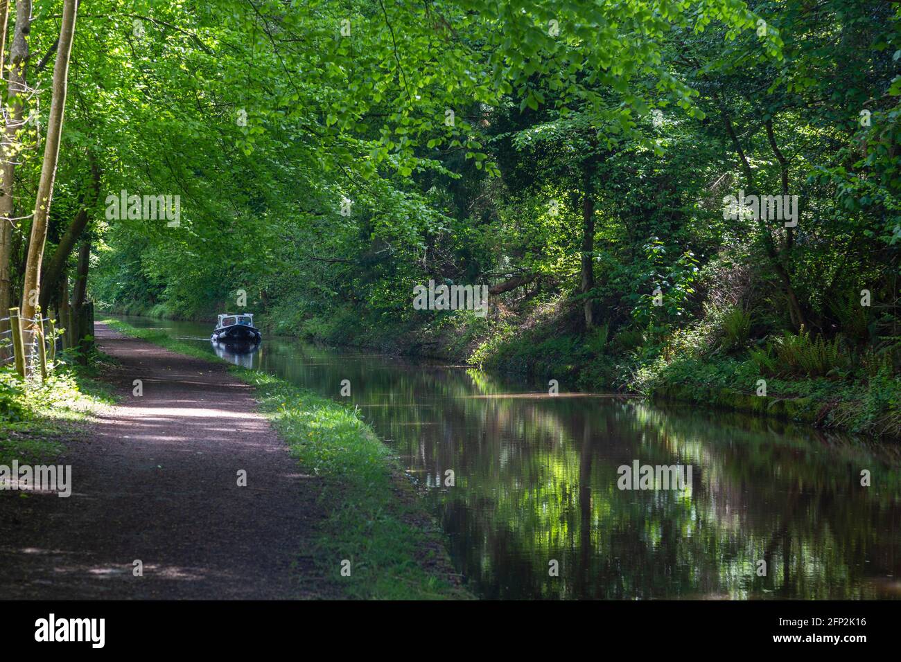 Camino de sirga a lo largo de Monmouthshire y Brecon Canal, Powys. Foto de stock