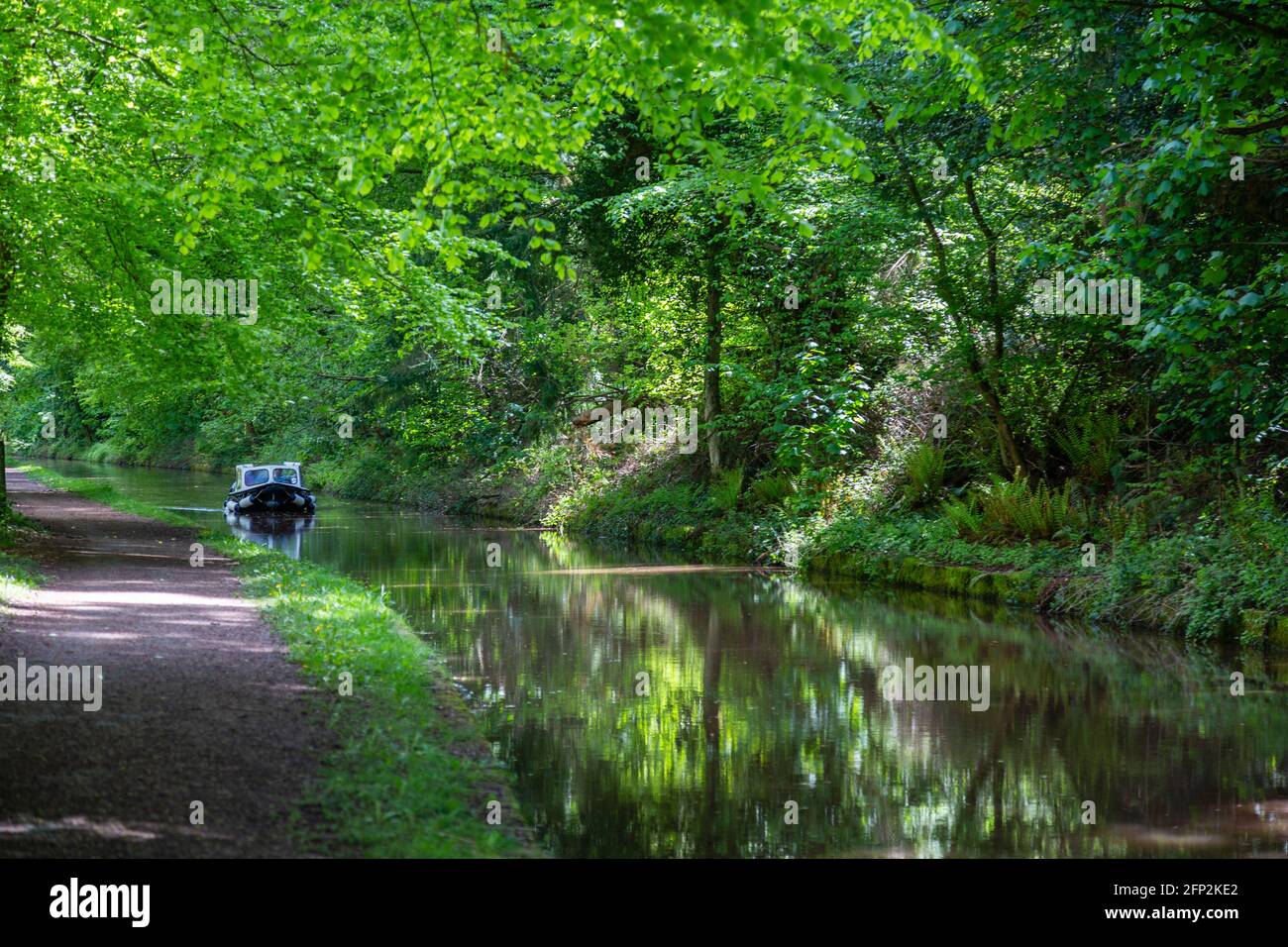 Camino de sirga a lo largo de Monmouthshire y Brecon Canal, Powys. Foto de stock