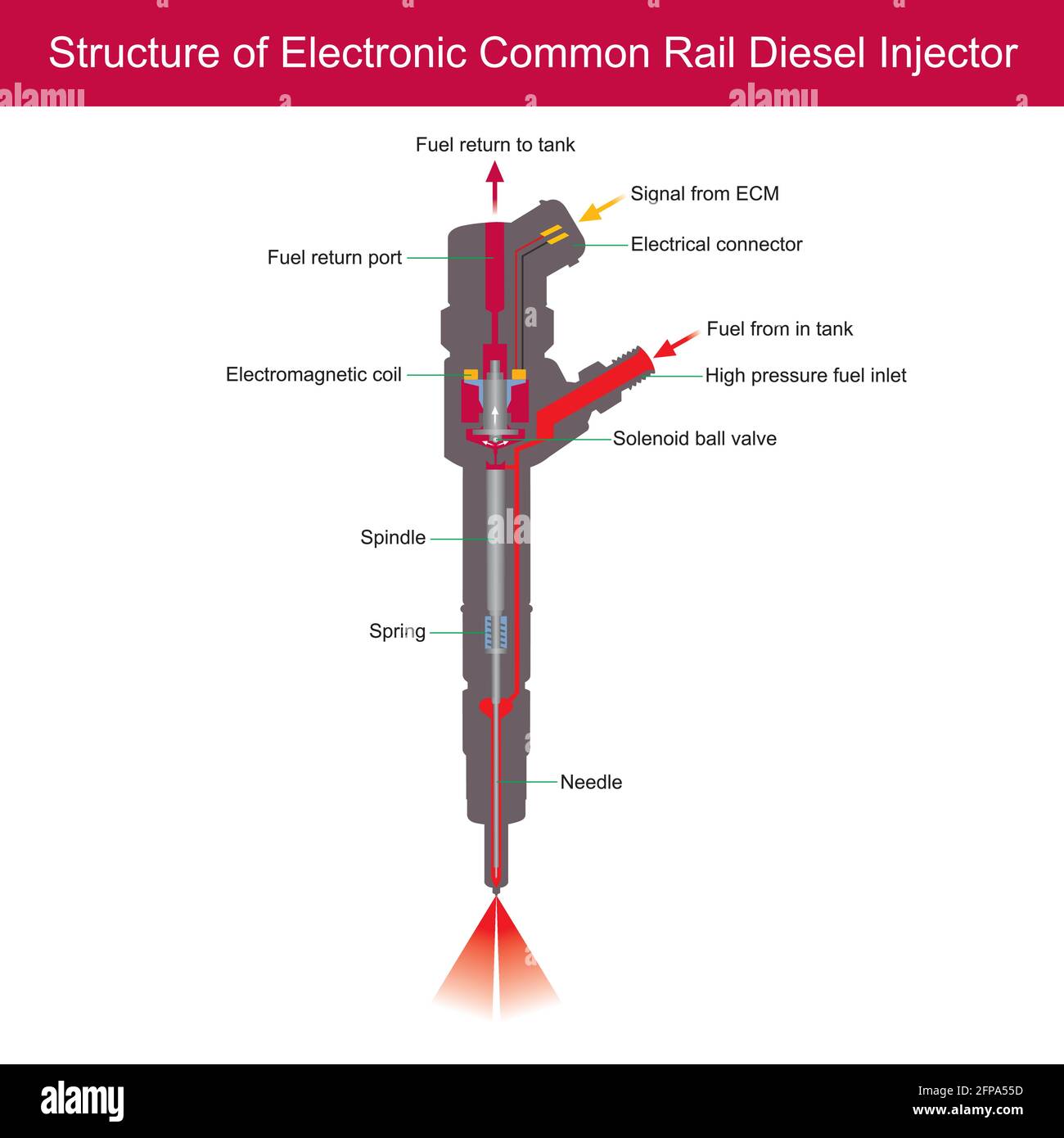 Estructura del inyector electrónico diésel Common Rail. En la ilustración se explican las piezas del interior del inyector electrónico de gasóleo Common Rail. Ilustración del Vector