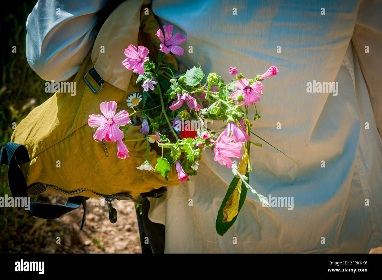 Un ramo de flores silvestres seleccionadas con movimiento 