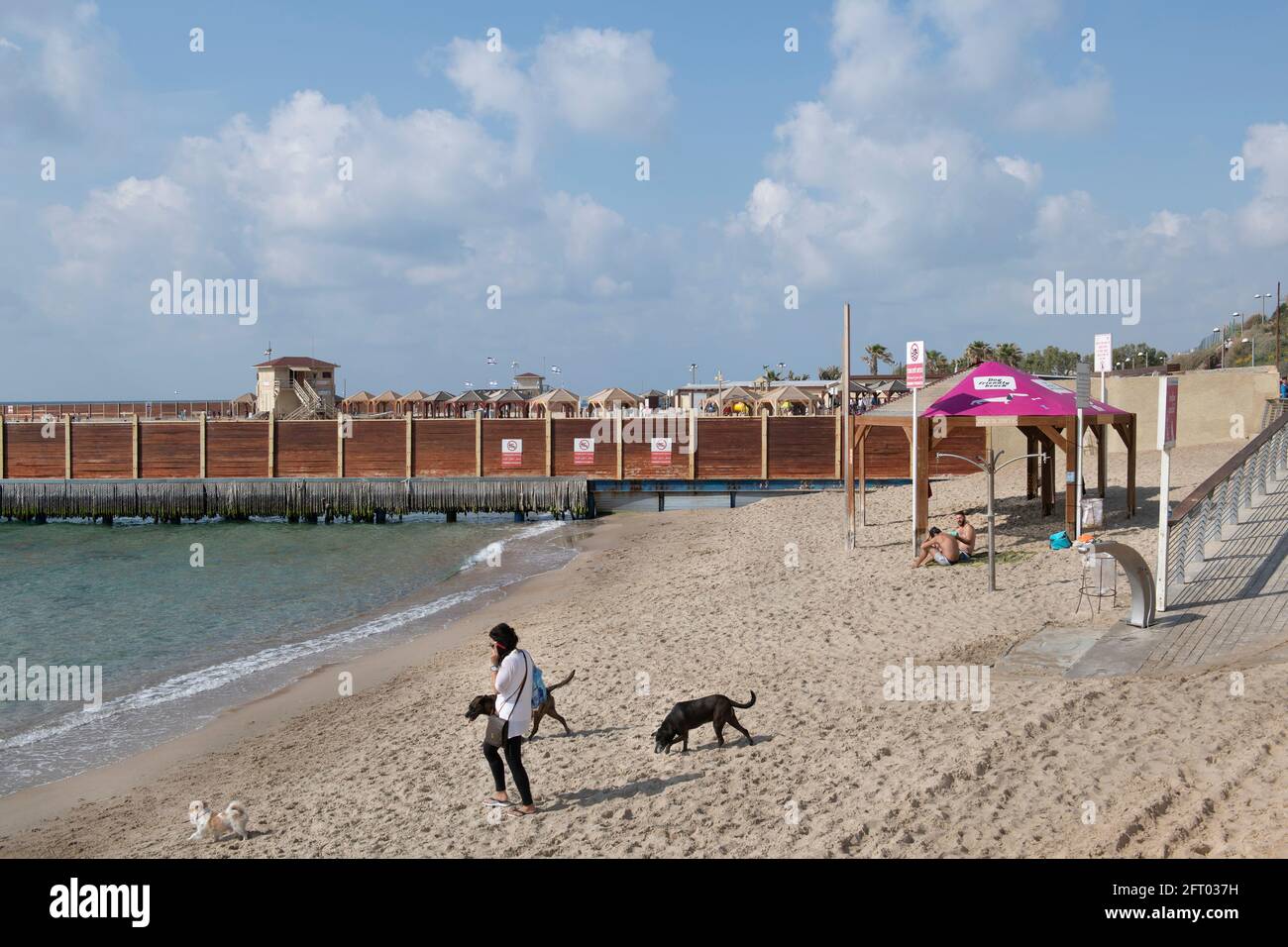Una mujer pasea con su perro y perros callejeros en la playa dedicada a los perros en Tel Aviv. Israel Foto de stock