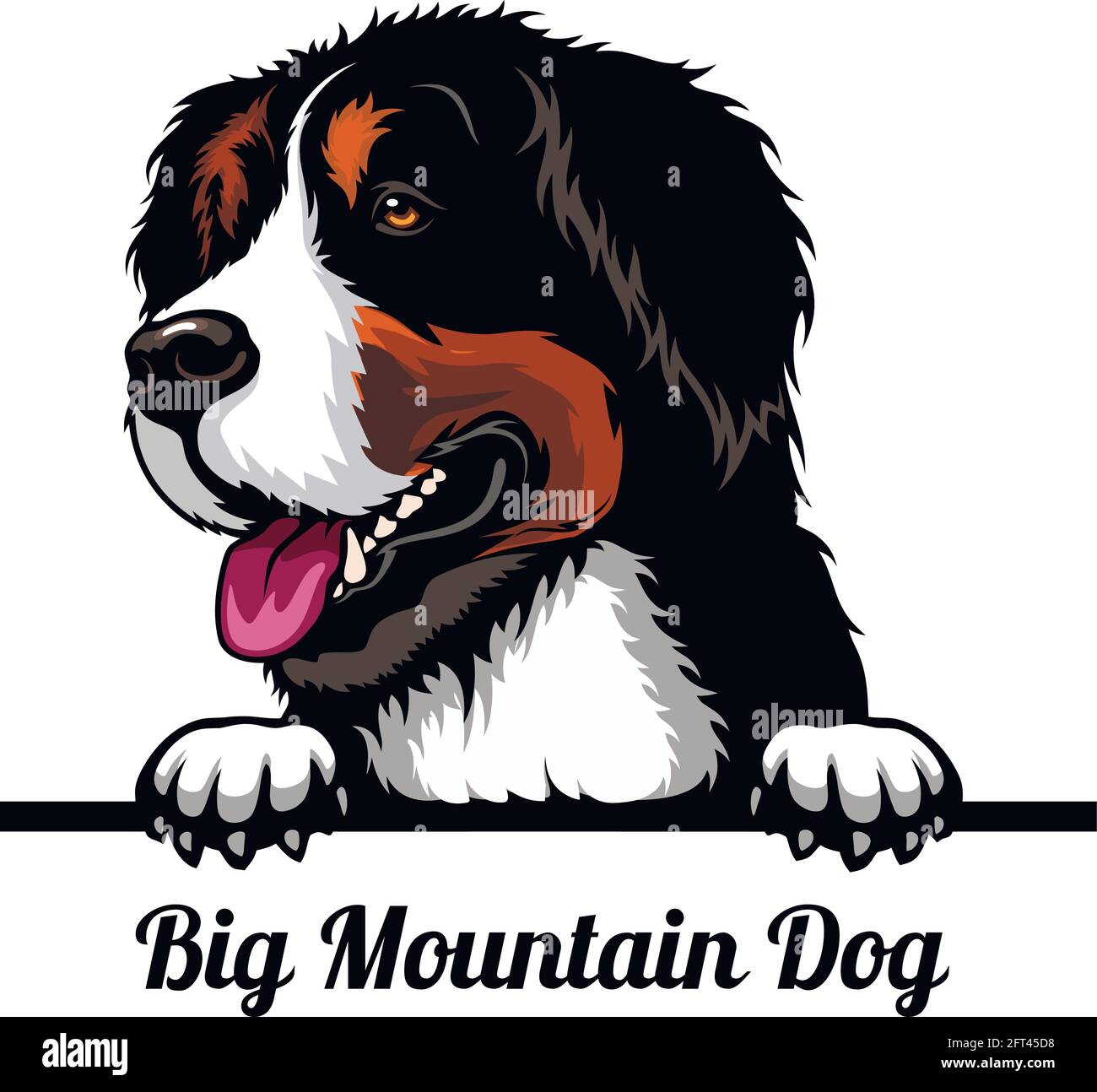 massive mountain dog