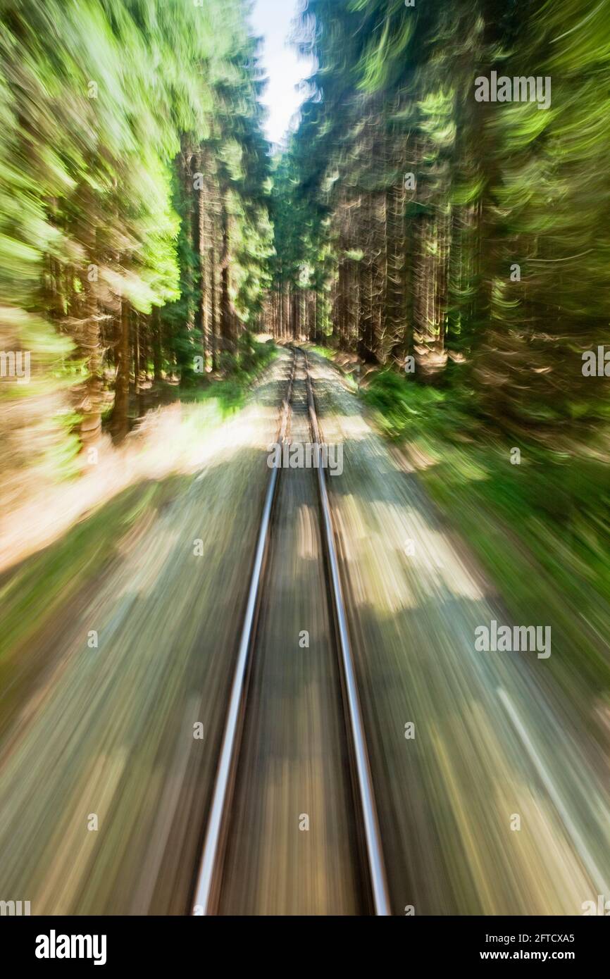 Vista de trocha angosta vía férrea desde la ventana trasera del tren a través del bosque de equitación Foto de stock