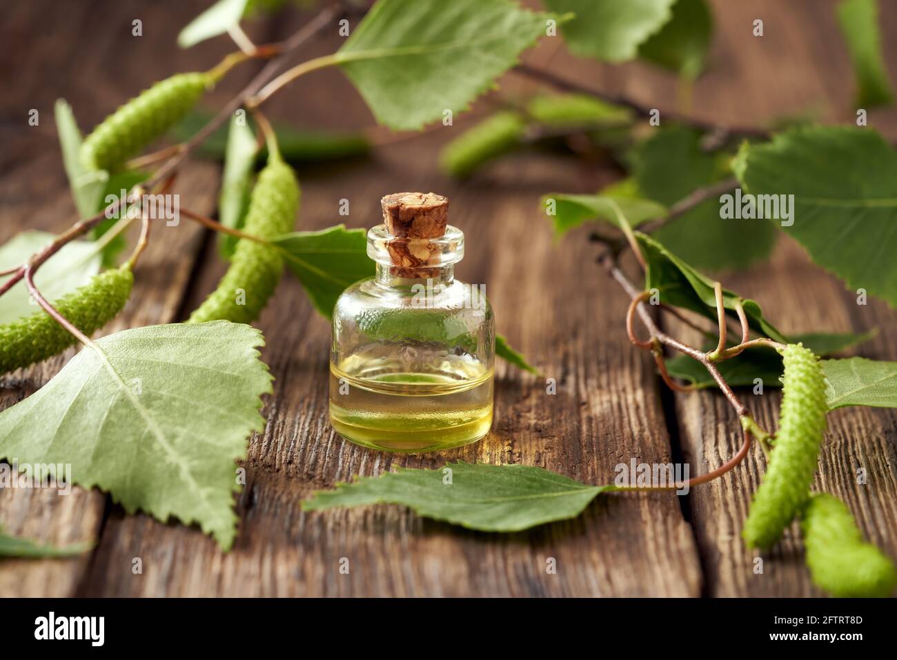 Una botella de aceite esencial con ramas de abedul y catkins Foto de stock