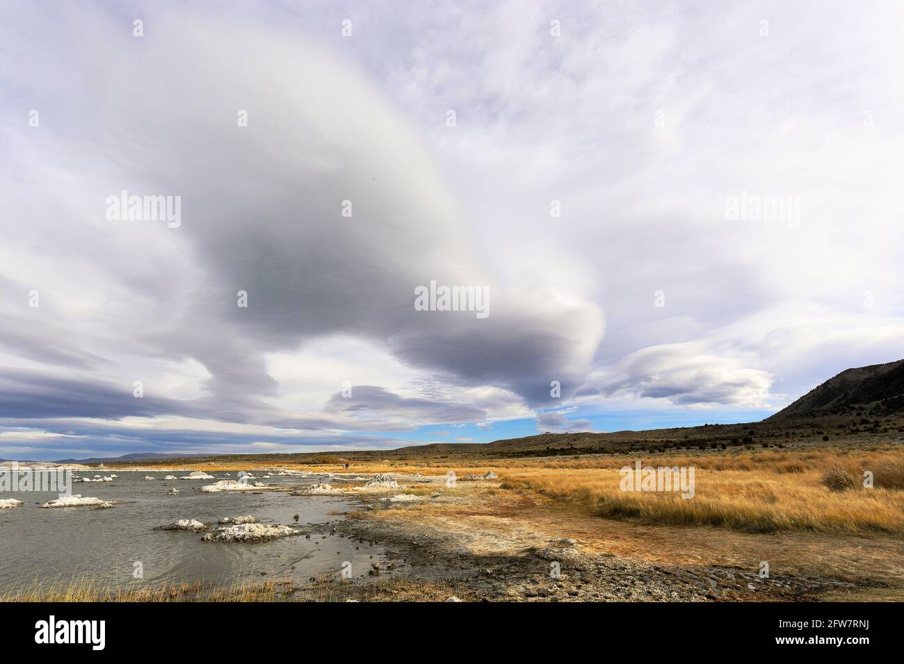 Pequeñas y grandes islas de tufa, algunas casi parecen un montón de nieve, en Mono Lake, California Foto de stock