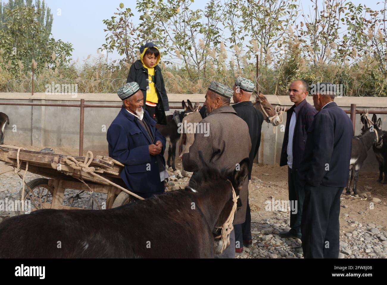 Domingo Feria de animales cerca de Kashgar, Xinkiang, República Popular de China, 2019 Foto de stock