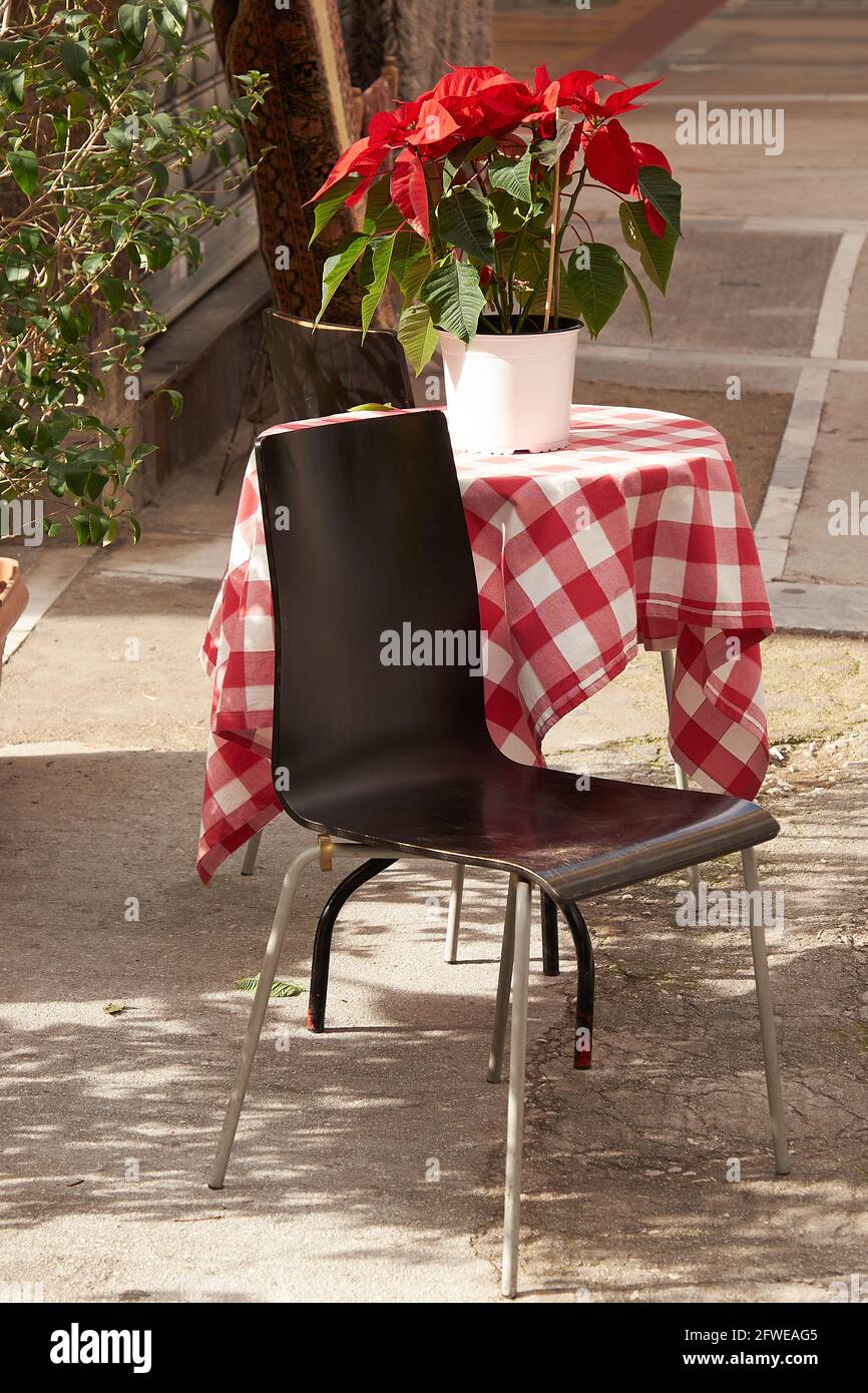 Mesa en el restaurante, café al aire libre con flores de poinsettia roja y manteles de cuadros blancos rojos. Los restaurantes abren verandas al aire libre después del coronavirus Foto de stock